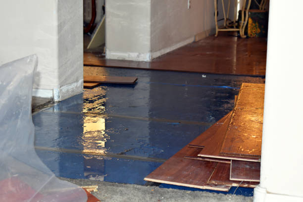 Professional Sewage Cleanup technician working in Jermyn, PA